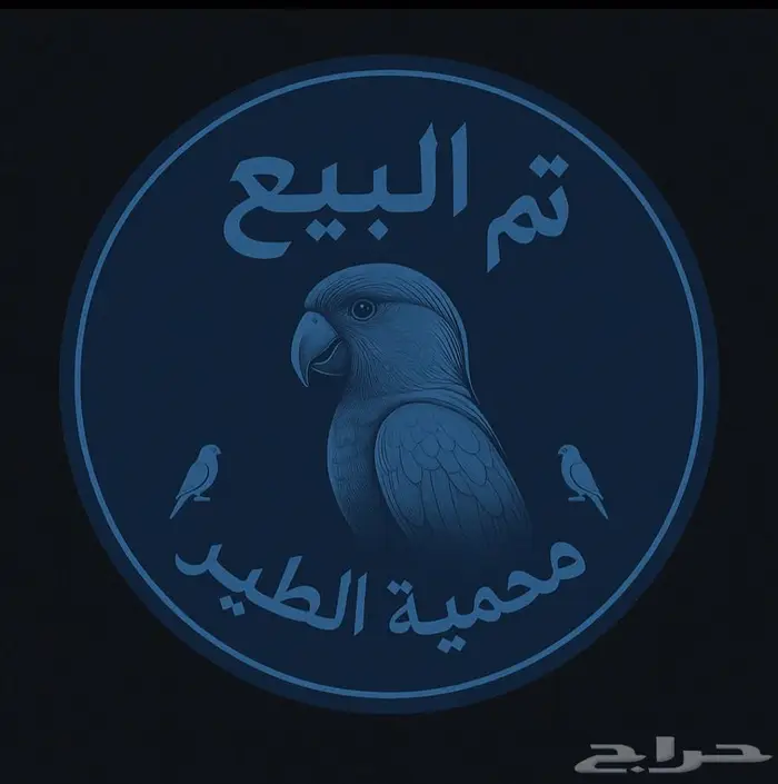 فروخ روز البينو 0