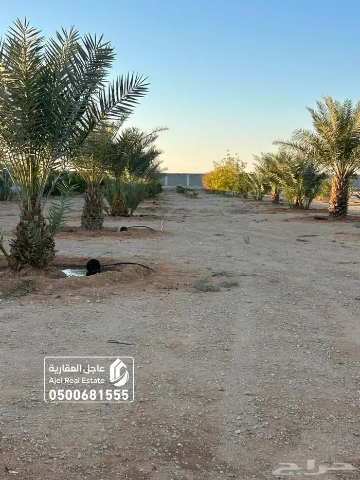 مزرعة للبيع مساحتها 20 الف متر في ثادق 2