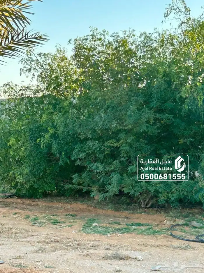 مزرعة للبيع مساحتها 20 الف متر في ثادق 22