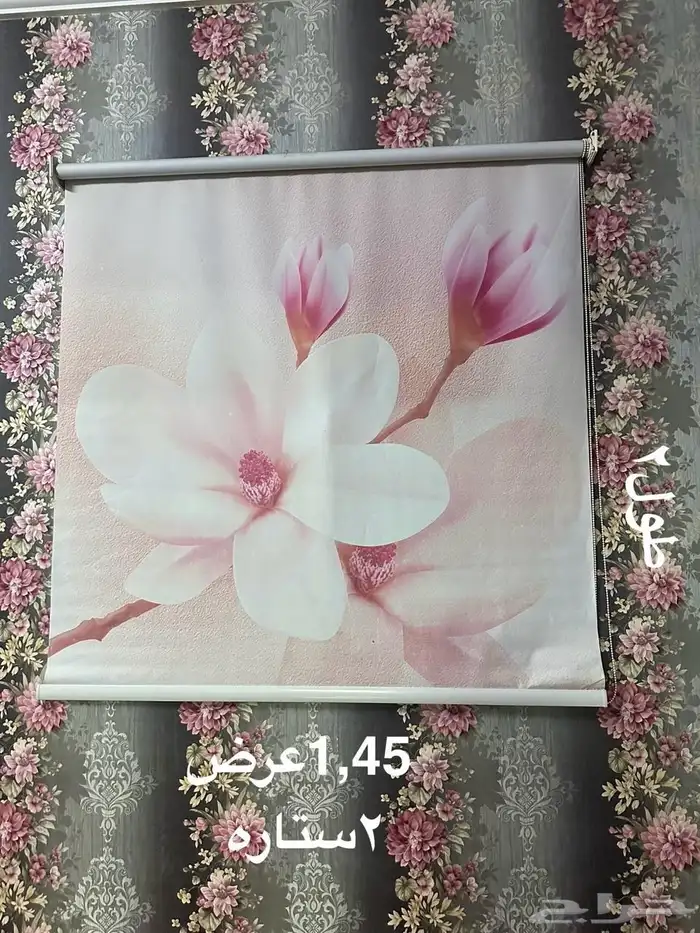 ستاير للبيع 3