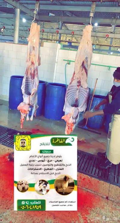 تغطيه لسوق الماشيه بعرعر وبيع الذبايح 4