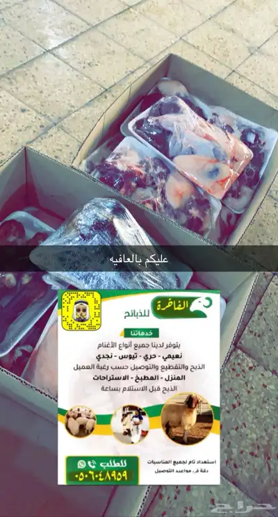 تغطيه لسوق الماشيه بعرعر وبيع الذبايح 7