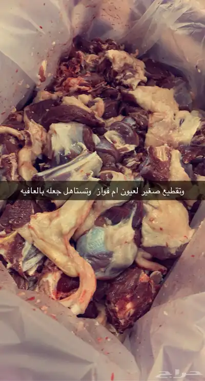 تغطيه لسوق الماشيه بعرعر وبيع الذبايح 5