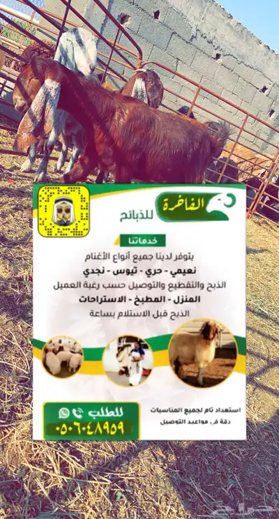 تغطيه لسوق الماشيه بعرعر وبيع الذبايح 1