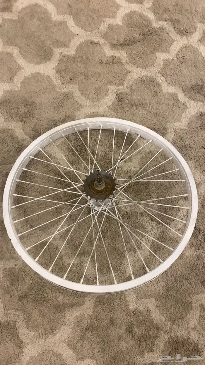 سيكل رامبو 31