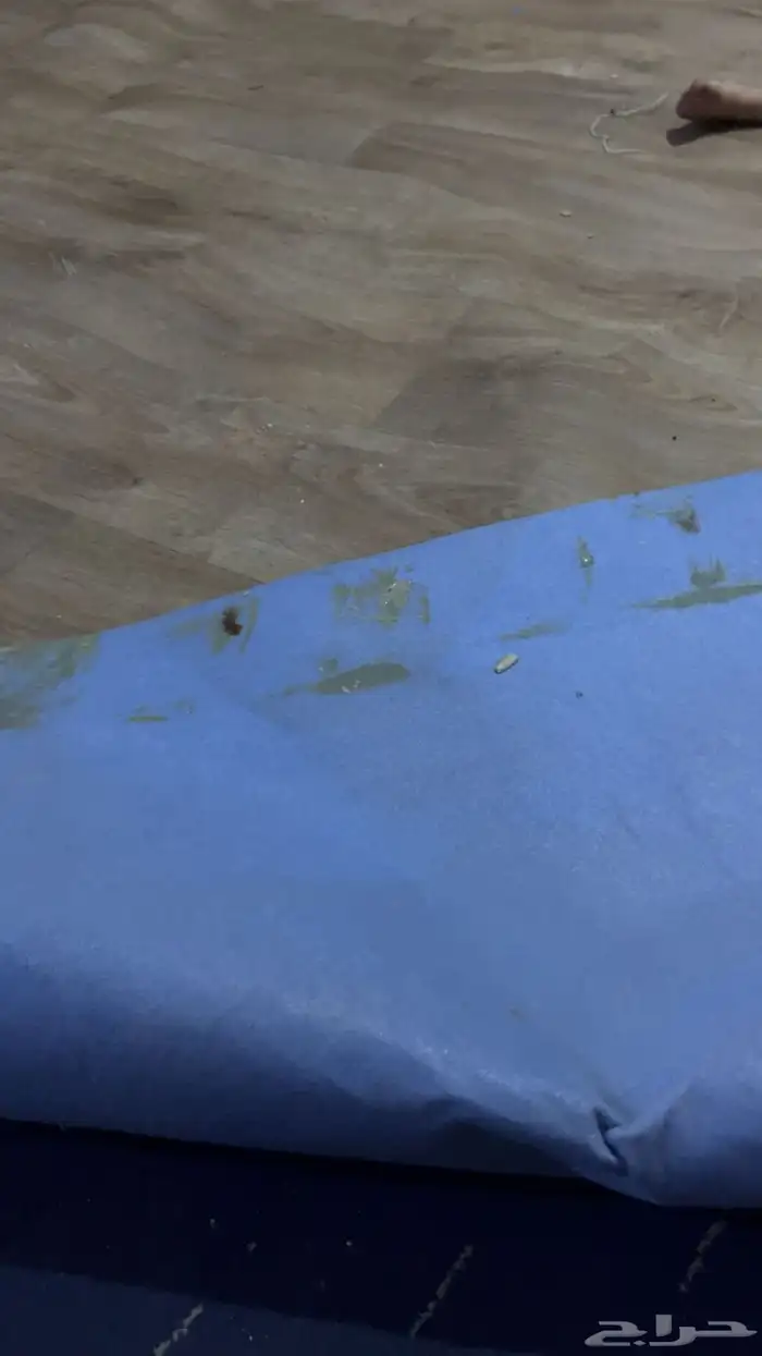 باركيه 16