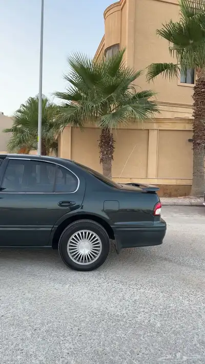 مكسيما 1998 (تم البيع) 2