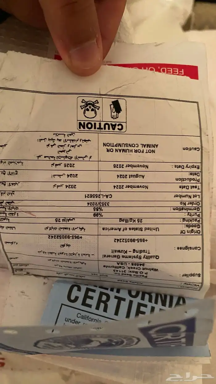 باسفيك بذور متوفر كميات 1