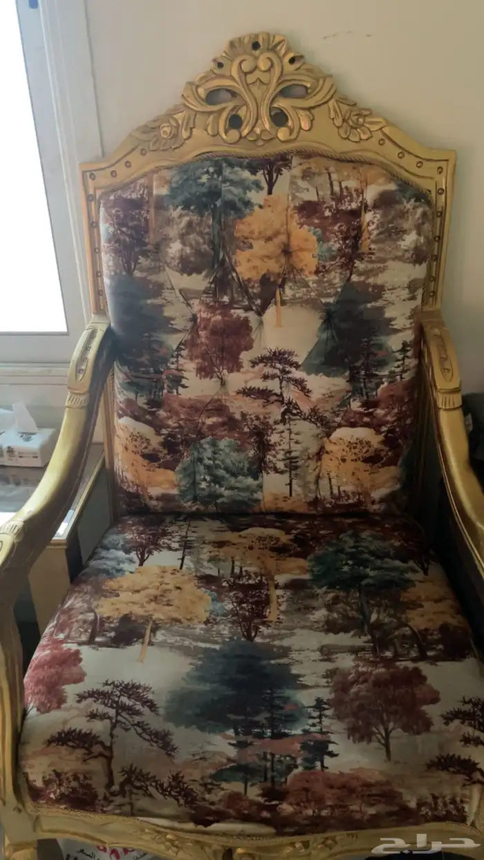 الخرج حي الدانه 1