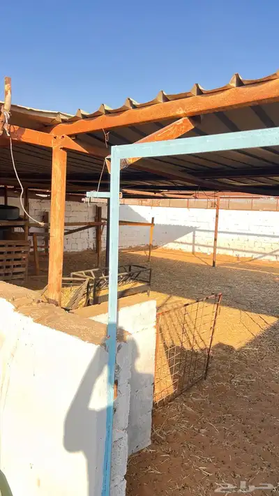 حوش لتقبيل جاهز من معالف لمكيفات مسلخ جديد 1