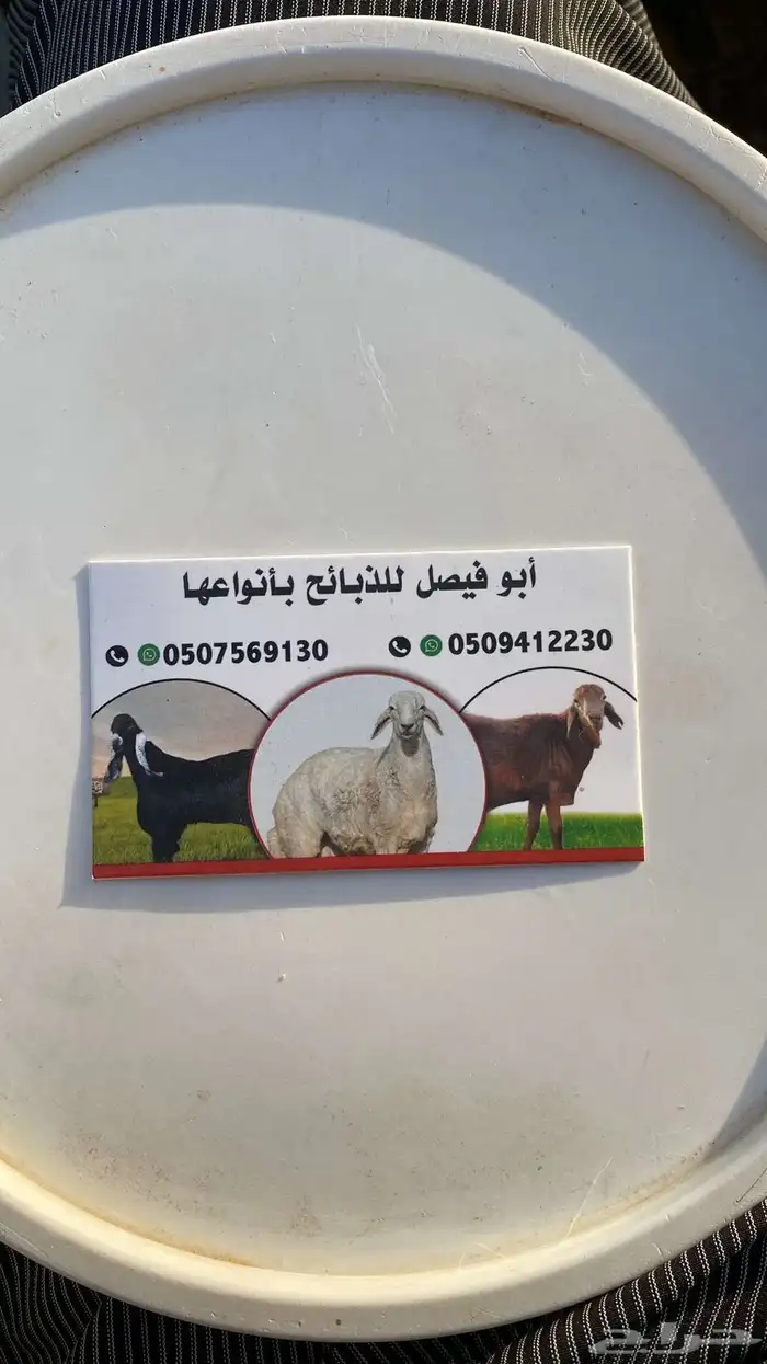 طليان حري وطليان سواكن 1