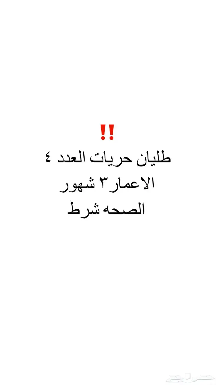 4 طليان حريات 0