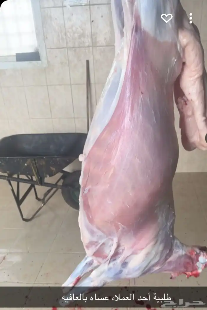 أغنام المزرعة 3
