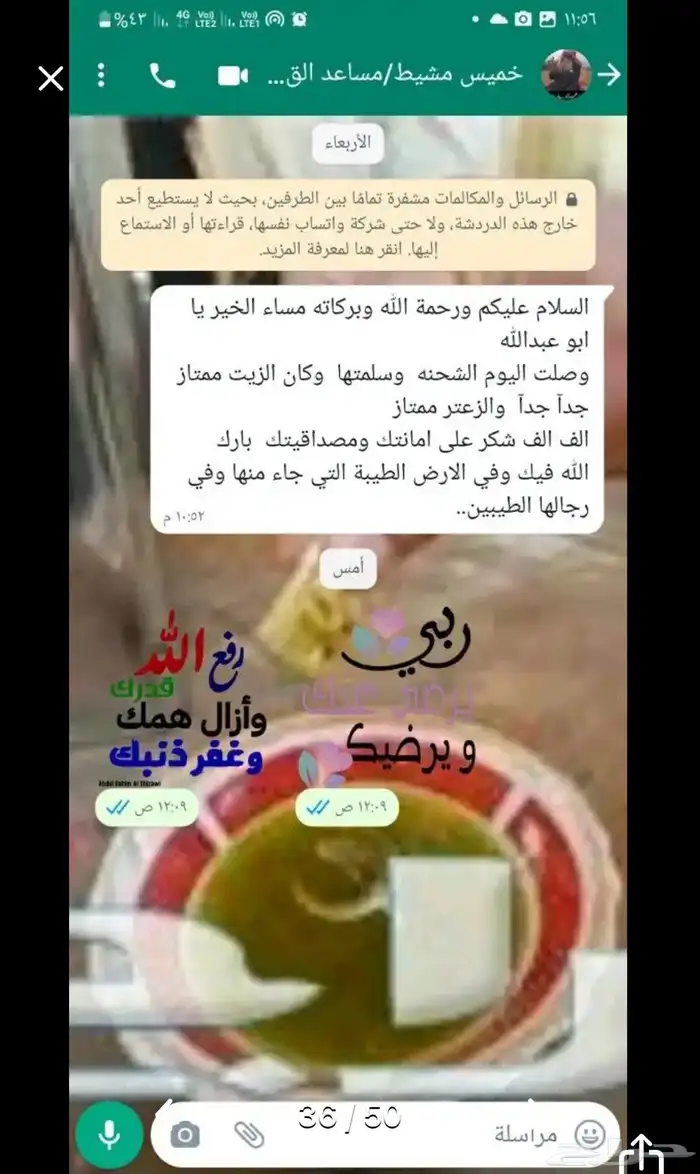 زيت زيتون الفلسطيني بعل عالأمطار شحن لجميع مناطق المملكه 20