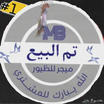 فروخ ببغاء الكايك ببغاء المهرج وبسعر مناسب. تم البيع 0