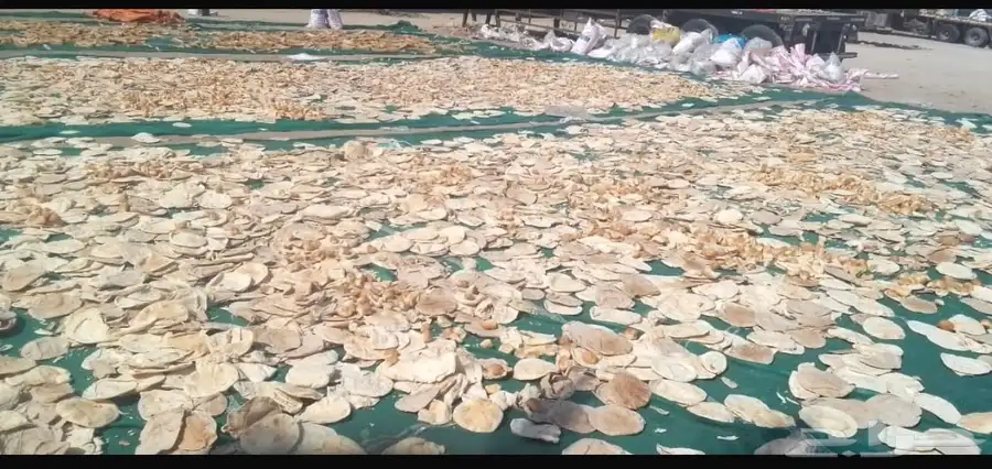 خبز ناشف 0