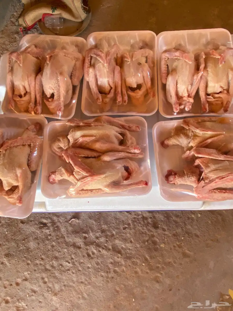 يوجد لدينا إزغليل حمام  فرنسي لاحم الجوز 32 يوجد توصيل 1
