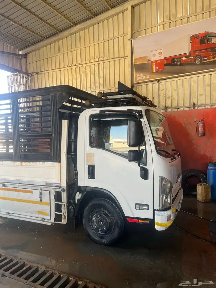 دينا نقل عفش 0