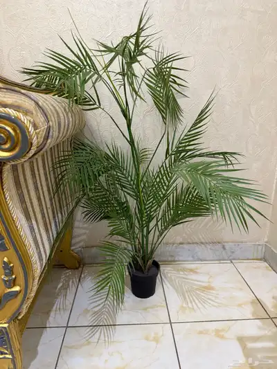 مجموعة اثاث ومجالس واسرة ولوح وستاير للبيع 41