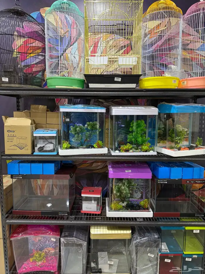 يوجد لدينا مستلزمات واكسسوارات قطط واسماك وطيور وكلاب 18