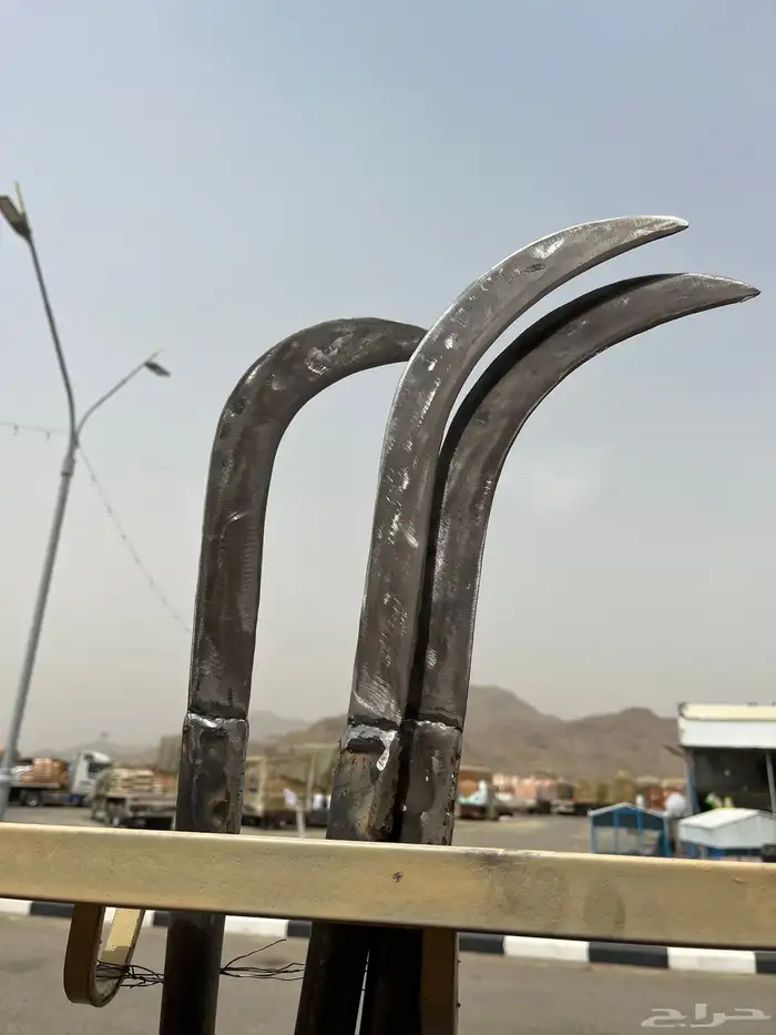 فاس عطيف فؤوس وفواقيش و مناقب وقدوم 21