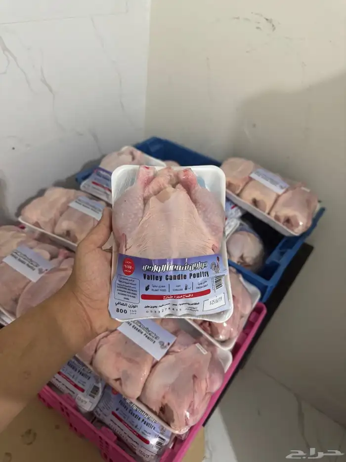 دجاج مبرد 1
