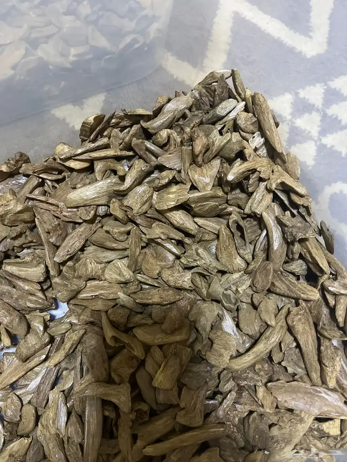 عود مروكي اصقون طبيعي مني دبل ودبل مرتفع 1