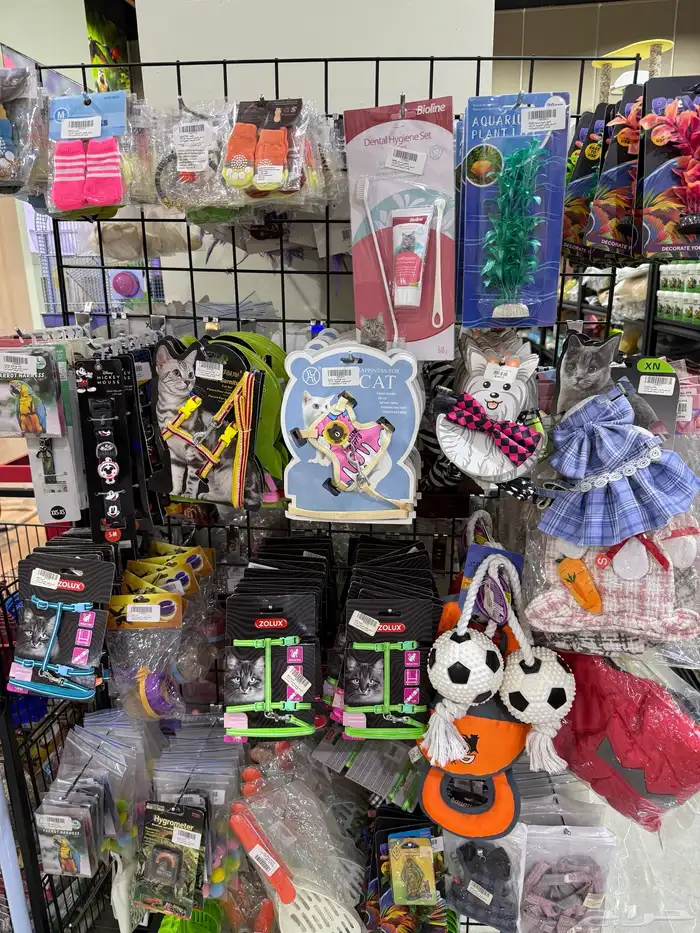 يوجد لدينا مستلزمات واكسسوارات قطط واسماك وطيور وكلاب 10