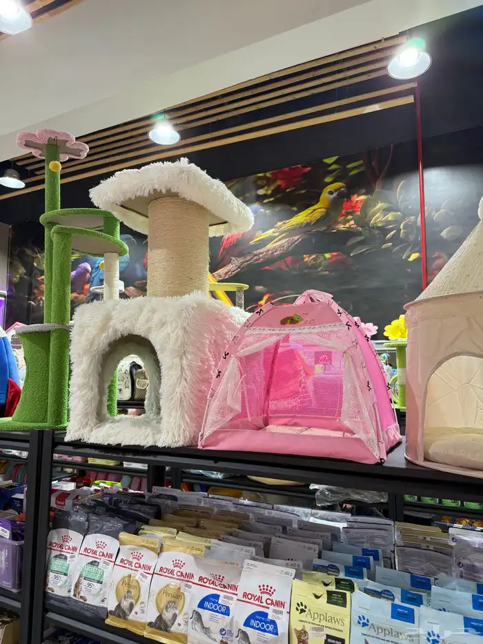 يوجد لدينا مستلزمات واكسسوارات قطط واسماك وطيور وكلاب 9