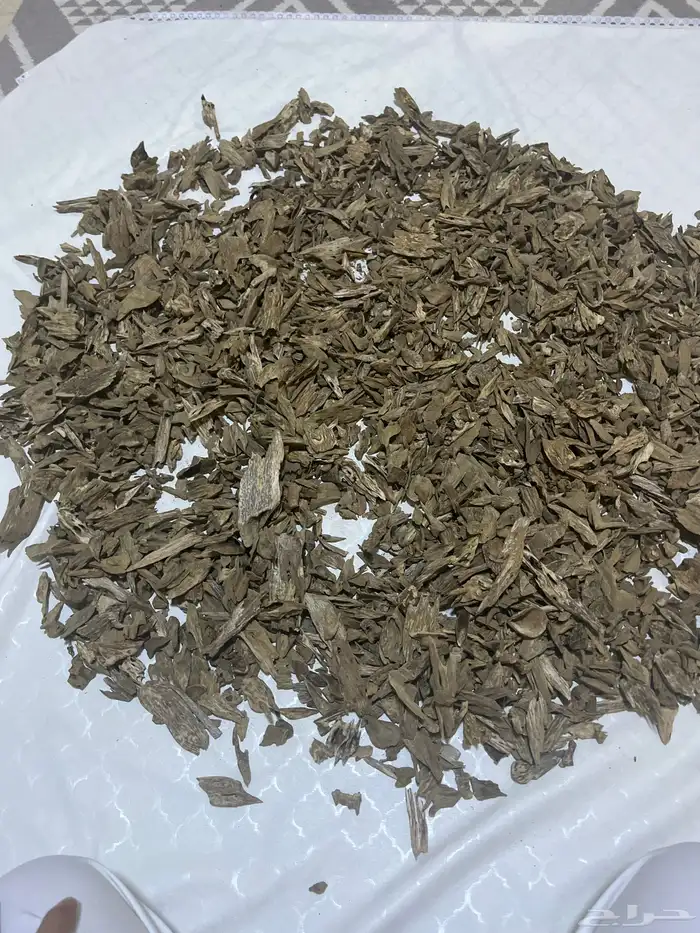 مروكي حي دبل و سوبرمرتفع ناهي 0