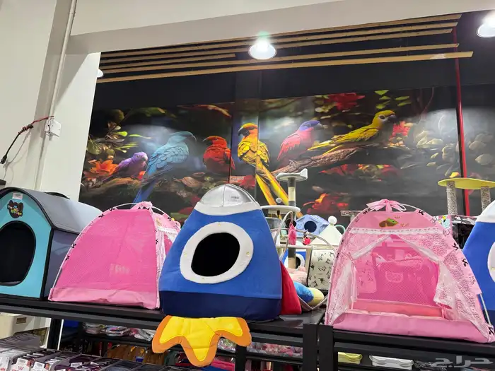 يوجد لدينا مستلزمات واكسسوارات قطط واسماك وطيور وكلاب 12