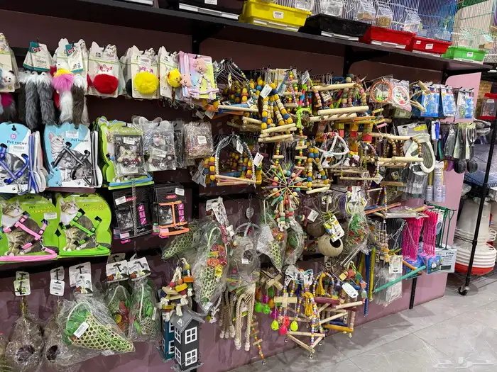 يوجد لدينا مستلزمات واكسسوارات قطط واسماك وطيور وكلاب 19