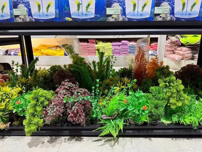 يوجد لدينا مستلزمات واكسسوارات قطط واسماك وطيور وكلاب 16