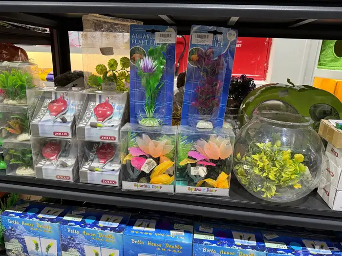 يوجد لدينا مستلزمات واكسسوارات قطط واسماك وطيور وكلاب 17