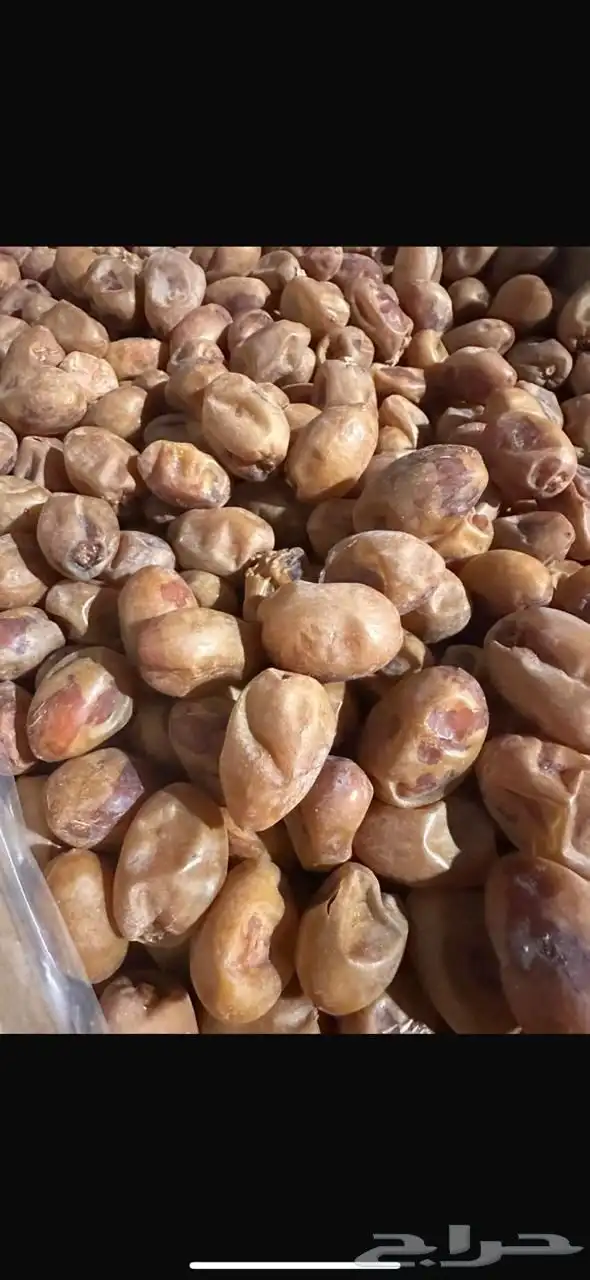تمر خلاص جامبو فاخر 4