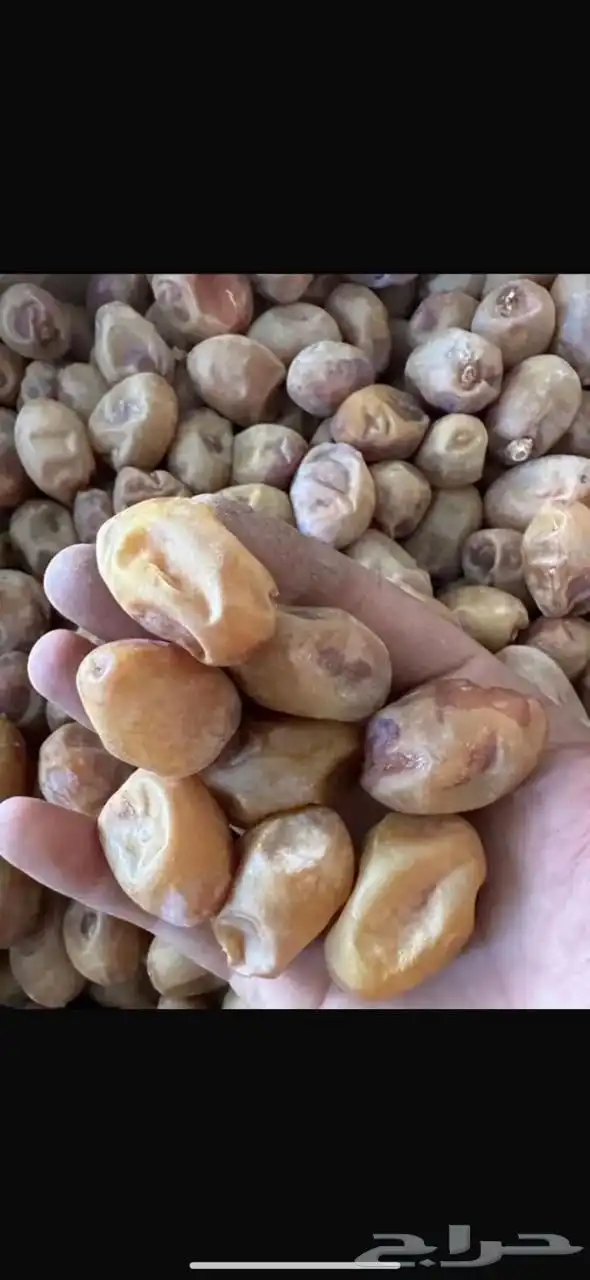 تمر خلاص جامبو فاخر 2
