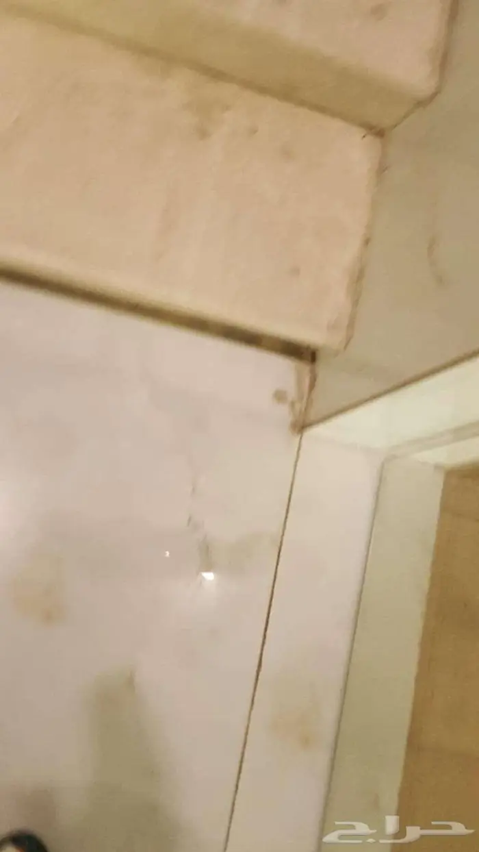 شقة جديدة للبيع بحي الصفا 0