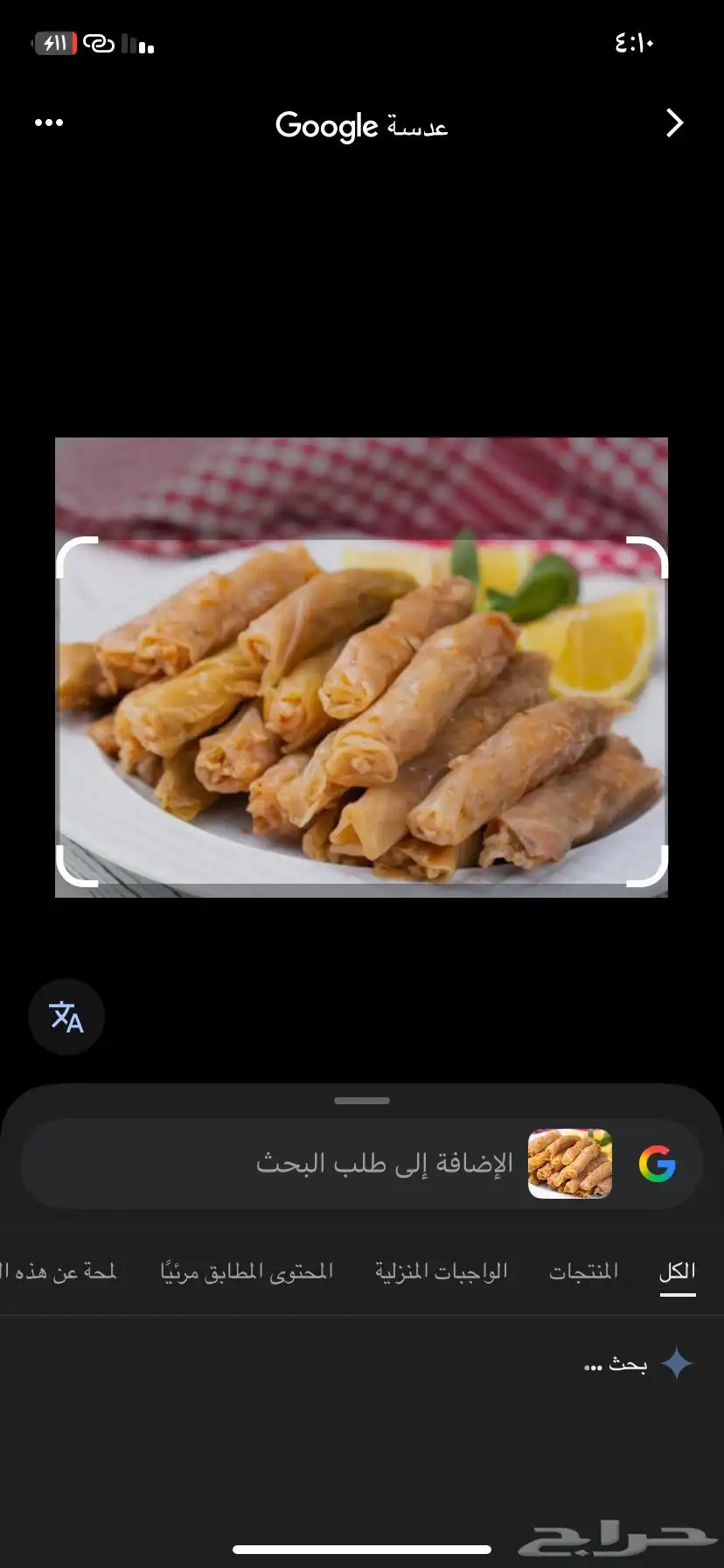 رابغ اكل 4