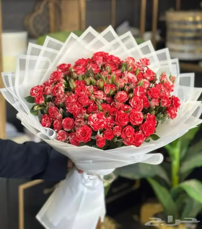 ورد هدايا خميس مشيط ابها احد رفيدة توصيل هدايا ورد الجنوب 7