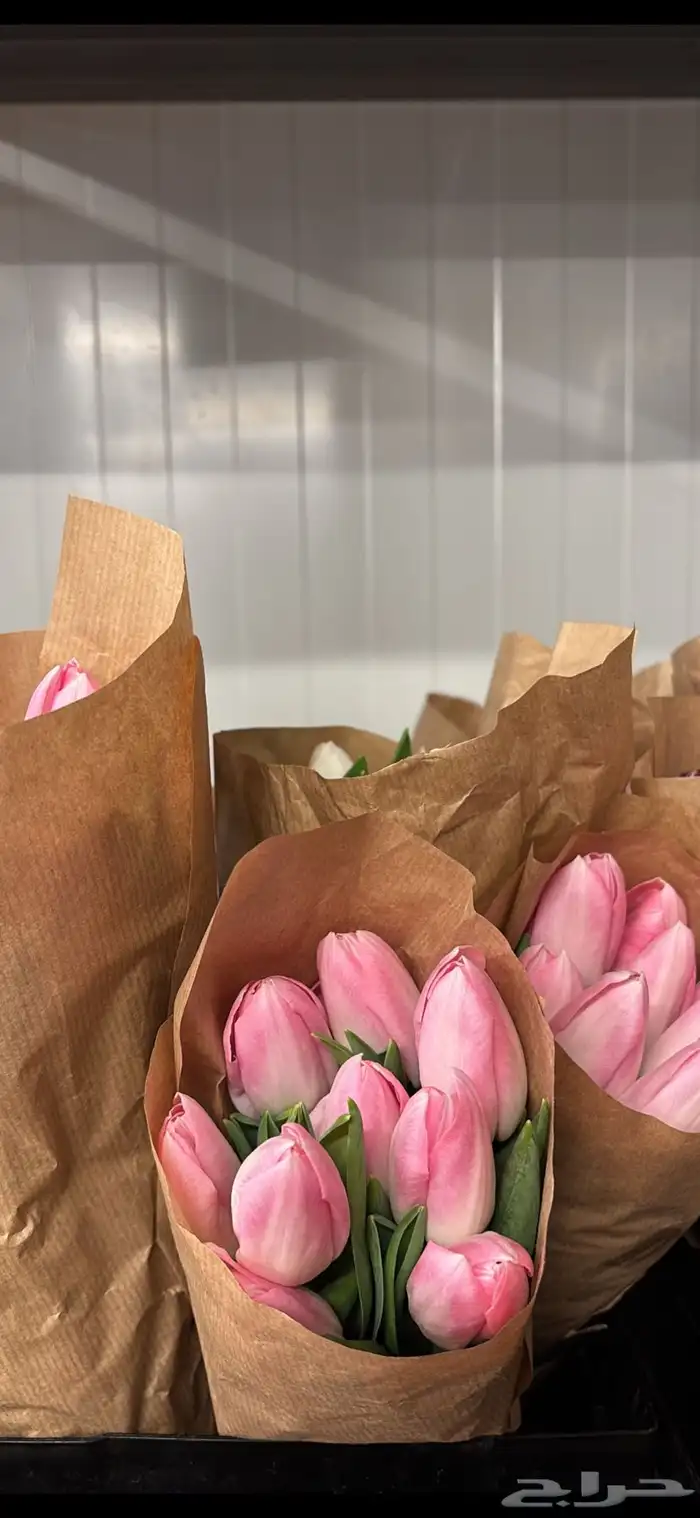 ورد طبيعي بسعر الجمله 5