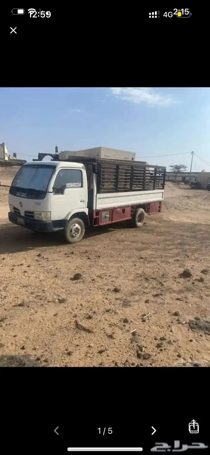 دنه صيني 3