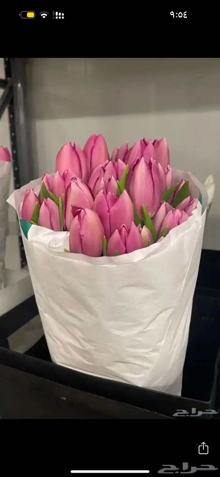 ورد طبيعي بسعر الجمله 7