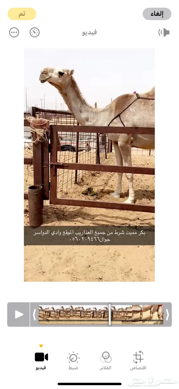 بكر مميت طيبه 1