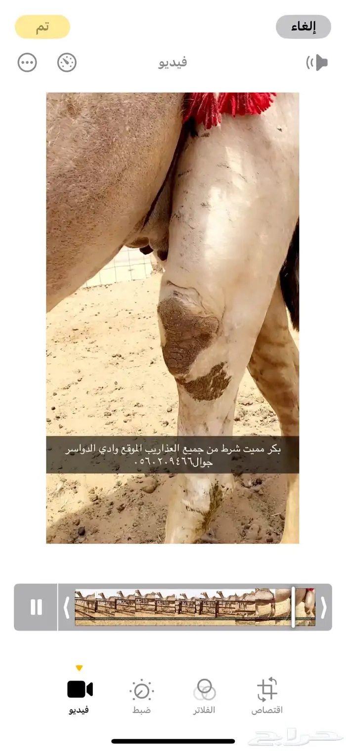 بكر مميت طيبه 3