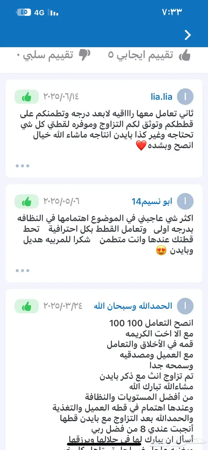 للتزاوج بسعر 200 قط برتش مسجل يوجد قطط للبيع من الانتاج 10