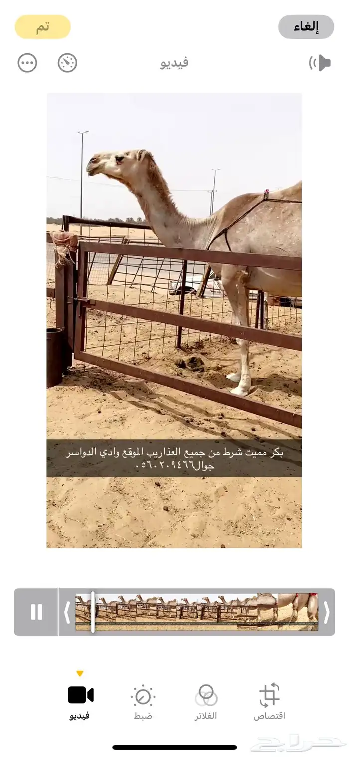 بكر مميت طيبه 2