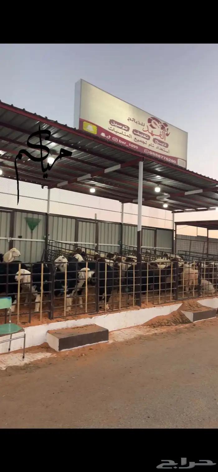 ذبيحتك لباب المنزل 2
