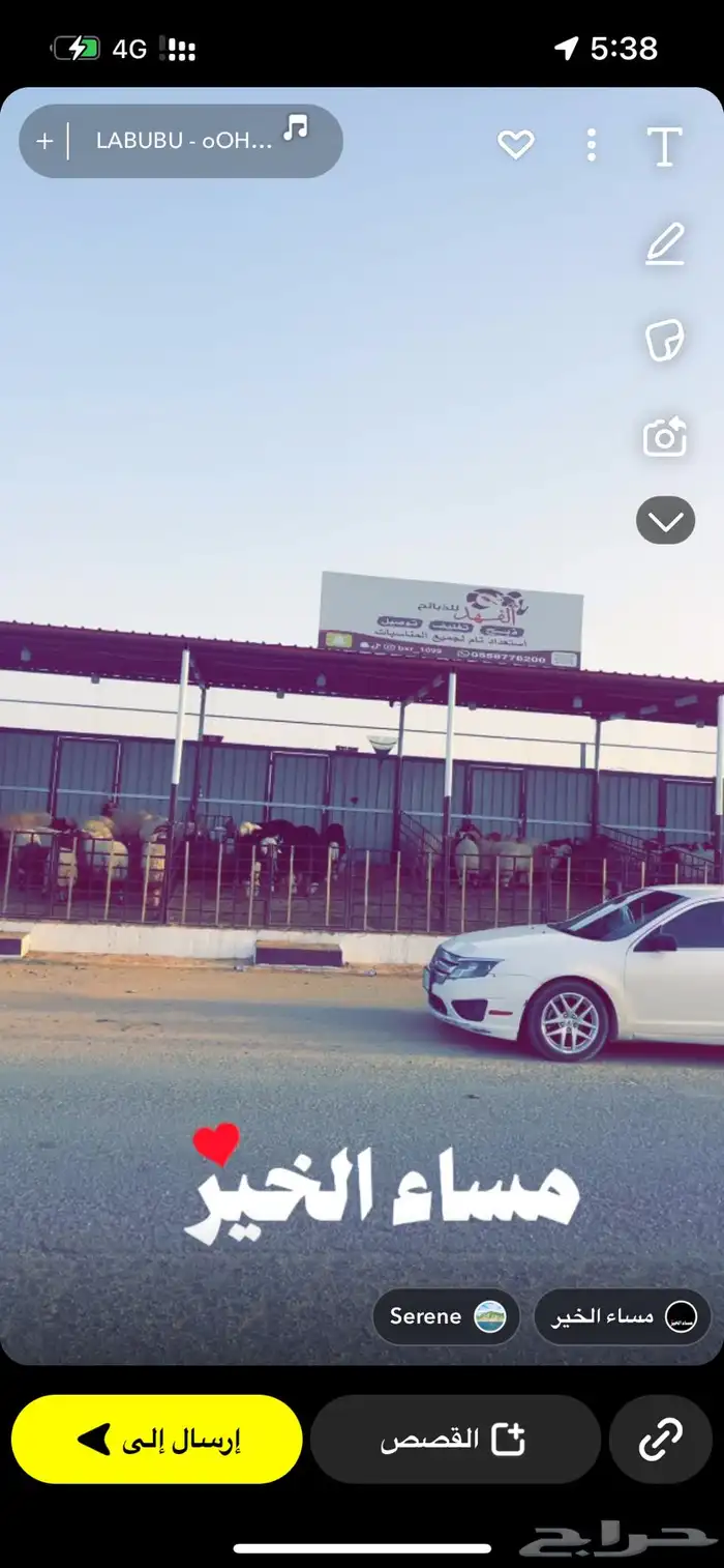 ذبيحتك لباب المنزل 3