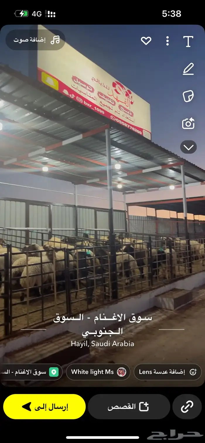 ذبيحتك لباب المنزل 4