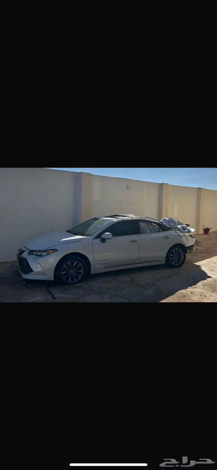 أفالون 2019 2
